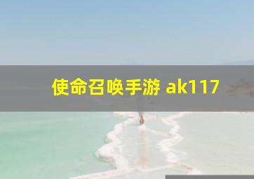 使命召唤手游 ak117